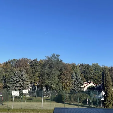 Sikorki Daire Sianozety