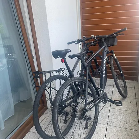 Daire Sikorki Sianozety